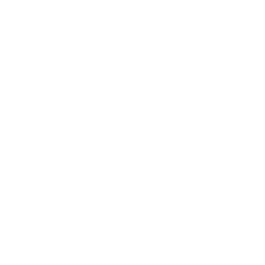 Icon Diskussion / Chat weiss