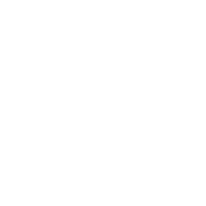 Icon Telefon weiss