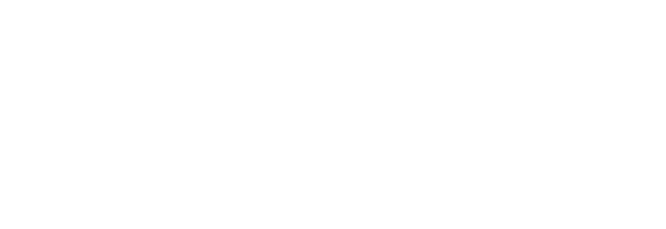 Icon Sonderwünsche weiss