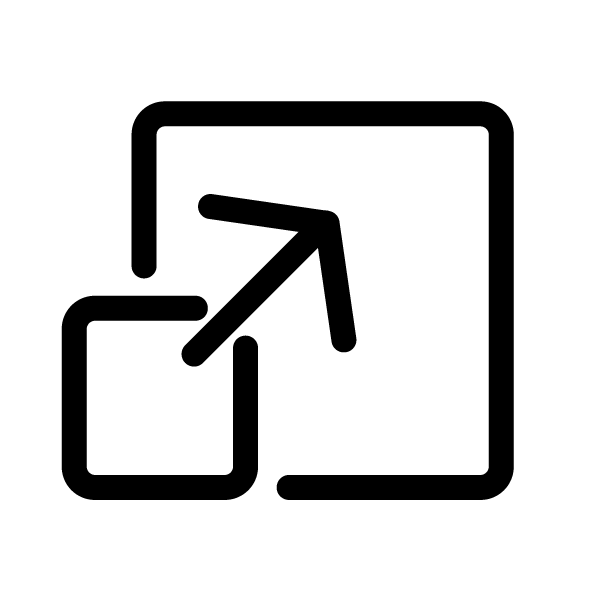 Icon Umzug