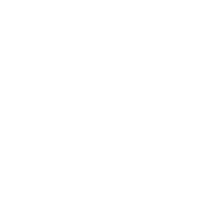 Icon linkedin weiss