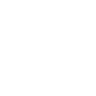 Icon E-Mail weiss